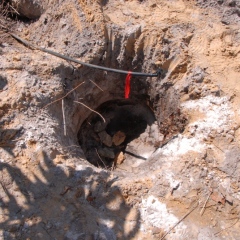 1_Orchard-Replant-10_2_2021_099