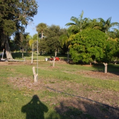 Orchard-Replant-10_2_2021_005