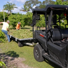 Orchard-Replant-10_2_2021_023