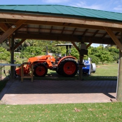 Orchard-Replant-10_2_2021_050