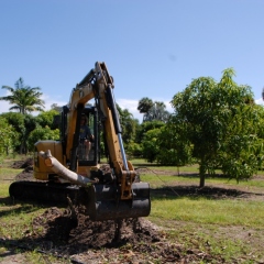 Orchard-Replant-10_2_2021_058