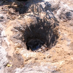 Orchard-Replant-10_2_2021_095