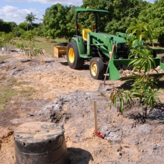 Orchard-Replant-10_2_2021_105