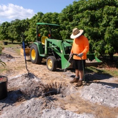 Orchard-Replant-10_2_2021_106