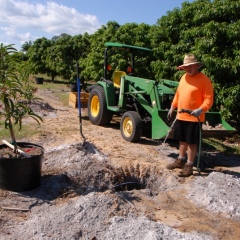 Orchard-Replant-10_2_2021_108