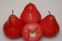 Wax Jambu